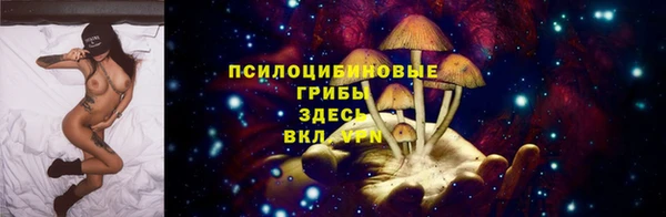 дурь Вязьма