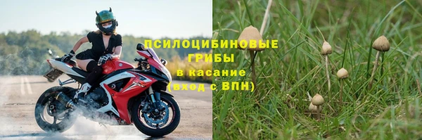 дурь Вязьма